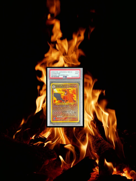 Dracaufeu Néo File